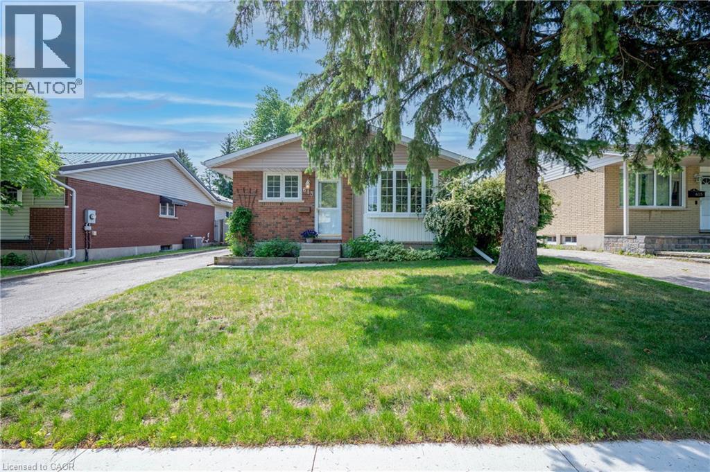 613 DOGWOOD Lane - 1