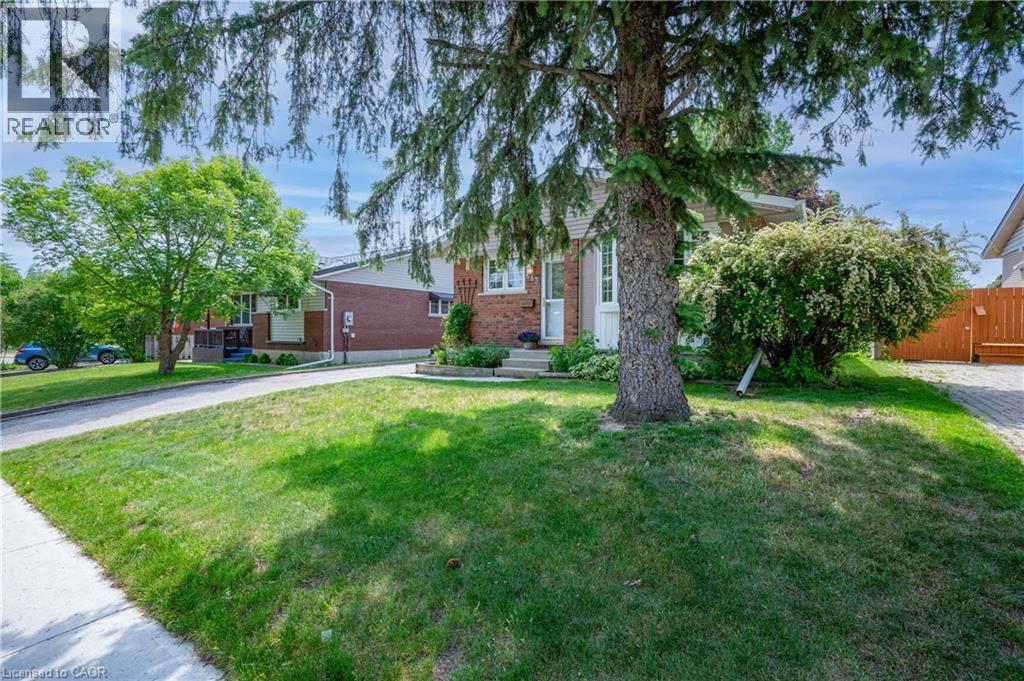 613 DOGWOOD Lane - 4