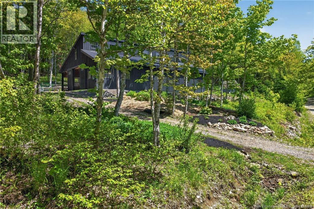 Tucker Road - Image 6