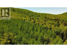 Lot Kintore Road, Kintore, NB E7H2L4 Photo 12