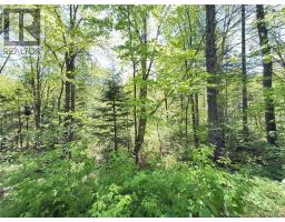 Lot Kintore Road, Kintore, NB E7H2L4 Photo 13