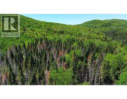 Lot Kintore Road, Kintore, NB E7H2L4 Photo 6