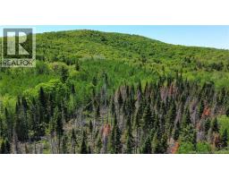 Lot Kintore Road, Kintore, NB E7H2L4 Photo 10