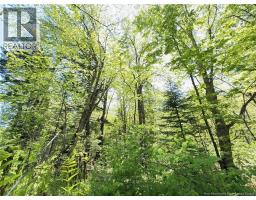 Lot Kintore Road, Kintore, NB E7H2L4 Photo 15