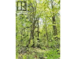 Lot Kintore Road, Kintore, NB E7H2L4 Photo 16