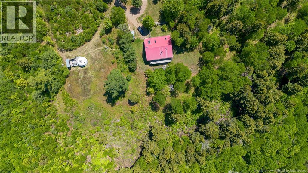 25 Bell Hill Road - Image 48