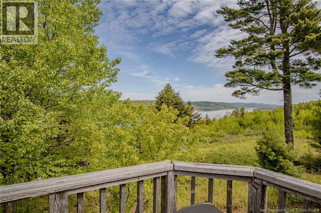 25 Bell Hill Road - Image 5
