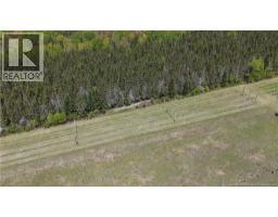 155 Rang 16 Tier Sud Road, Saint Quentin, NB E8A2H6 Photo 7