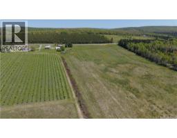 155 Rang 16 Tier Sud Road, Saint Quentin, NB E8A2H6 Photo 8