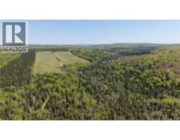 155 Rang 16 Tier Sud Road, Saint Quentin, NB E8A2H6 Photo 11
