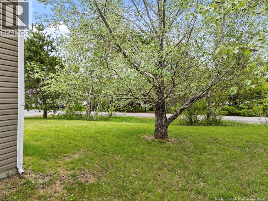 38 Foster Avenue - Image 26