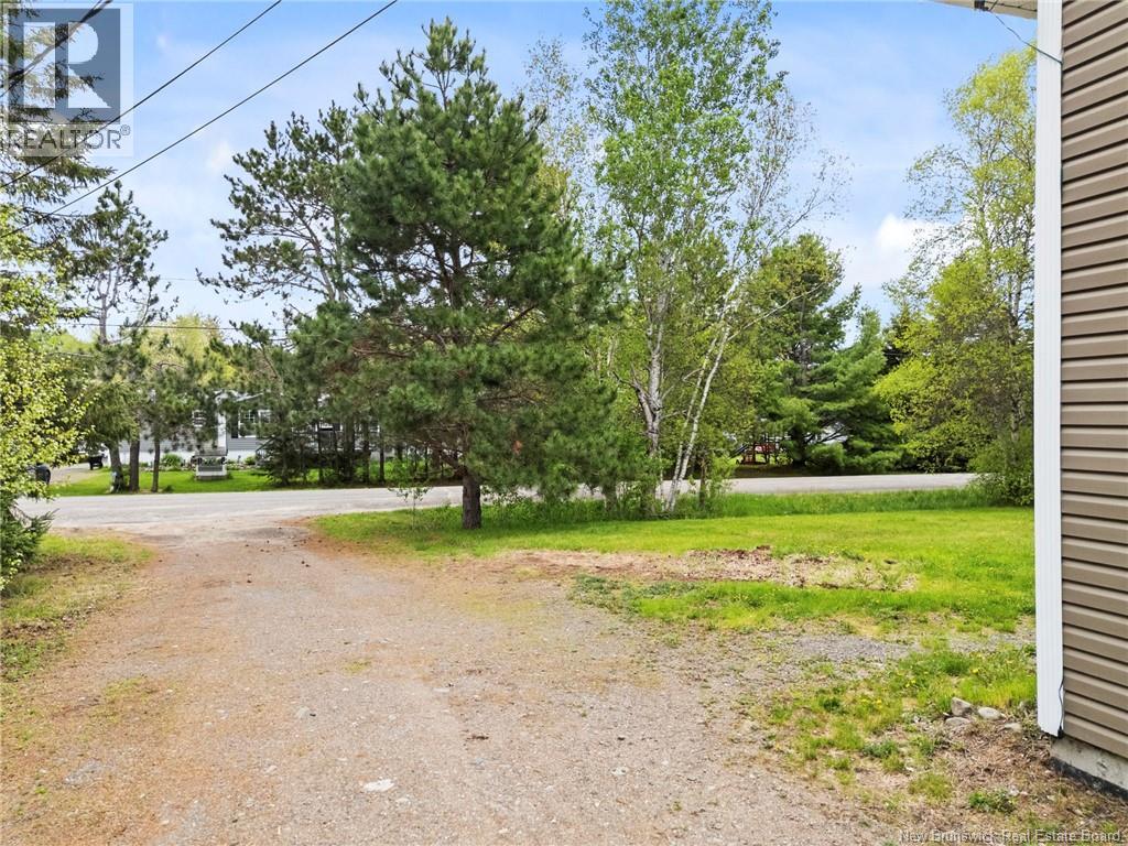38 Foster Avenue - 50