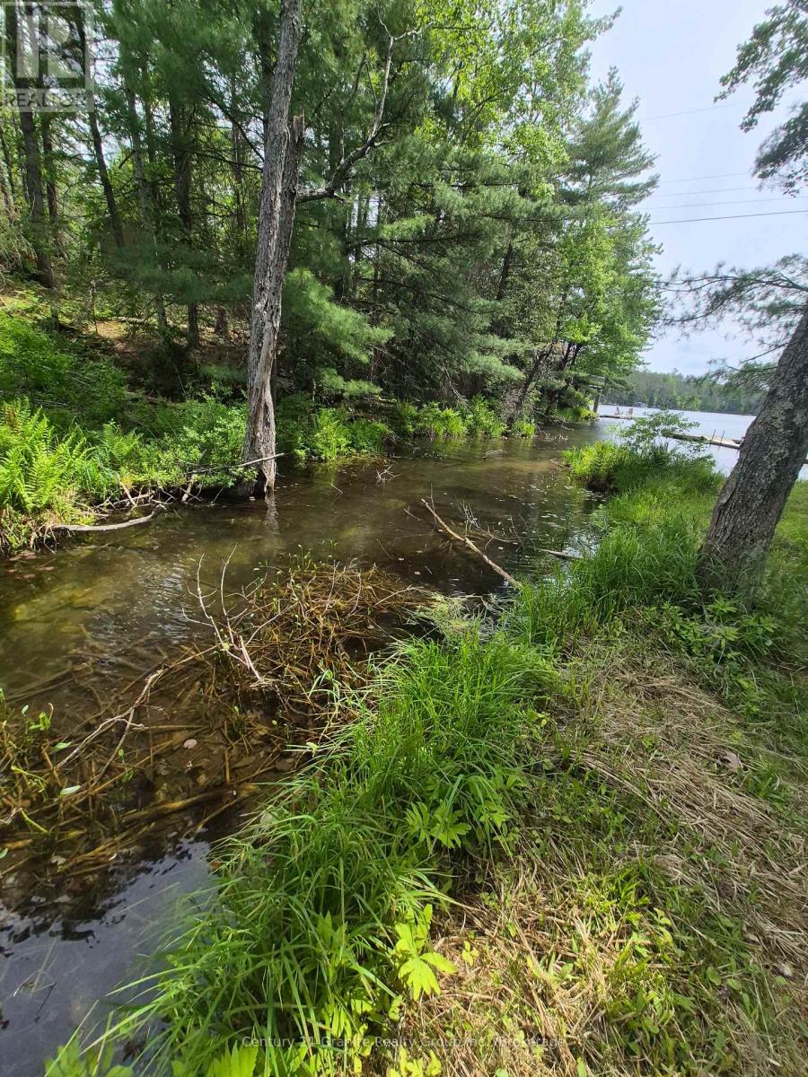 1427 SPAR LAKE ROAD - 18