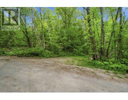 1427 Spar Lake Road, Minden Hills, ON K0M2K0 Photo 14