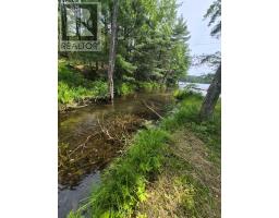 1427 Spar Lake Road, Minden Hills, ON K0M2K0 Photo 18