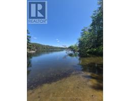 1427 Spar Lake Road, Minden Hills, ON K0M2K0 Photo 34