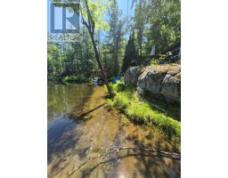 1427 Spar Lake Road, Minden Hills, ON K0M2K0 Photo 35
