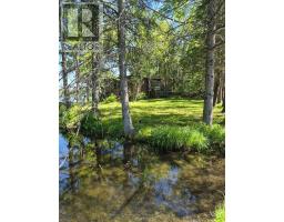 1427 Spar Lake Road, Minden Hills, ON K0M2K0 Photo 38