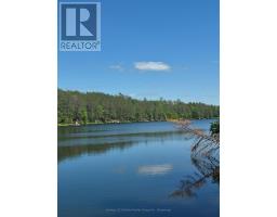 1427 Spar Lake Road, Minden Hills, ON K0M2K0 Photo 42