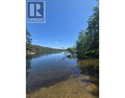 1427 Spar Lake Road, Minden Hills, ON K0M2K0 Photo 45