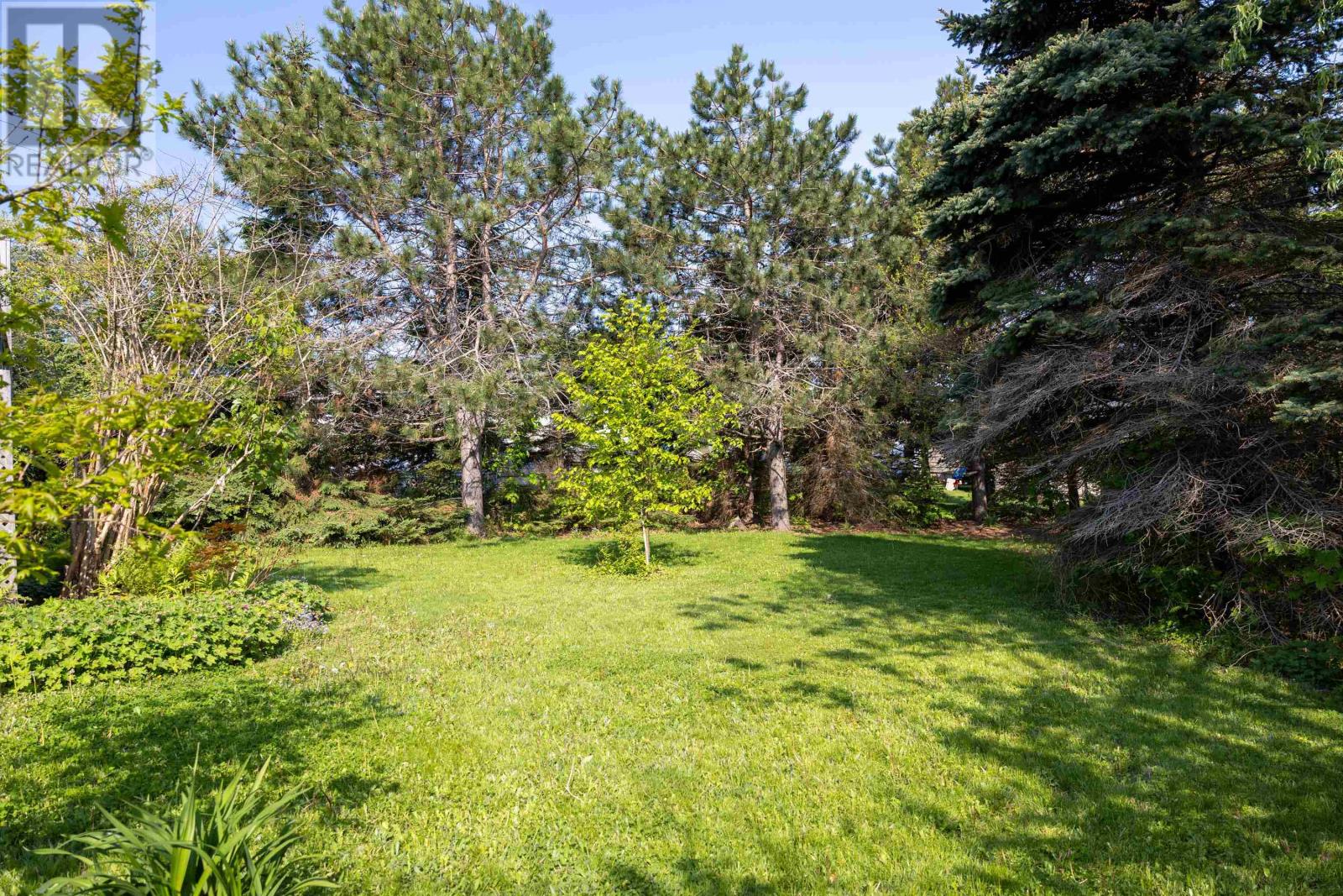 19 Marjorie Crescent - 45