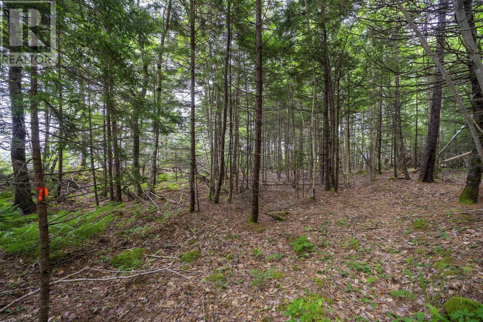 Property 35 of 38 of Lot 1 Highway 1