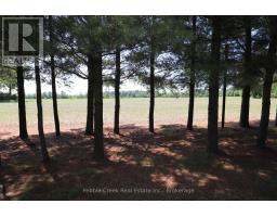 79927 Orchard Line, Central Huron, ON N7A3X8 Photo 45