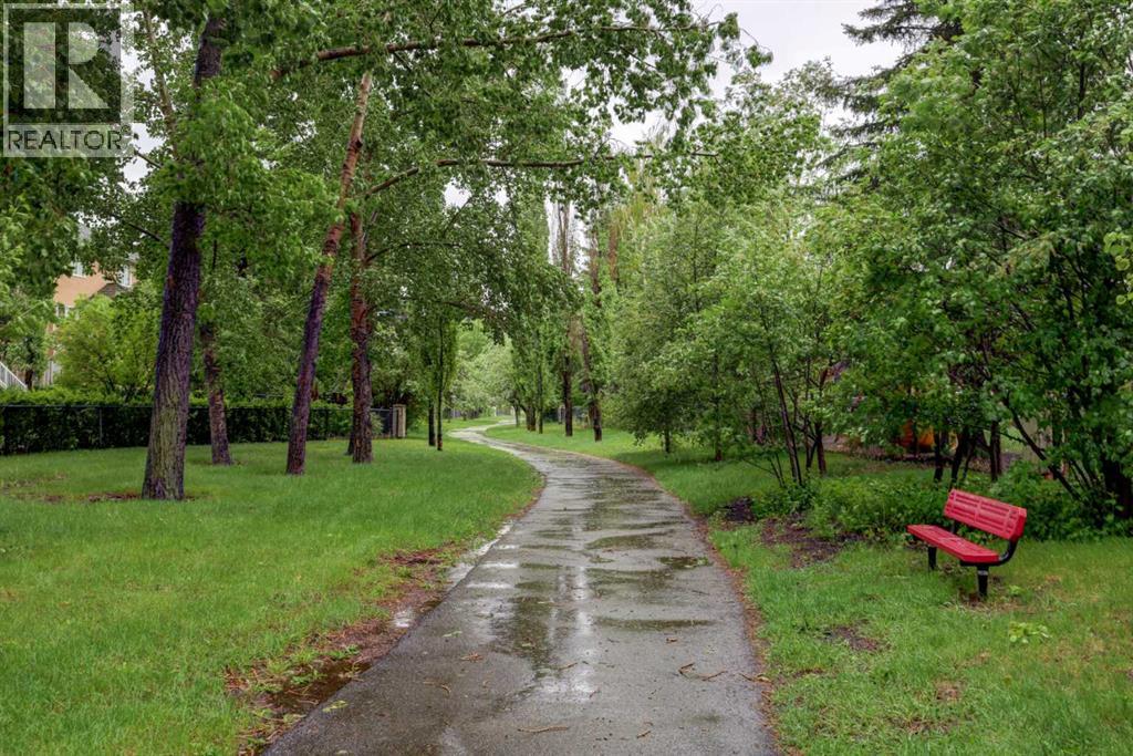 Treed Walking Path Behind House