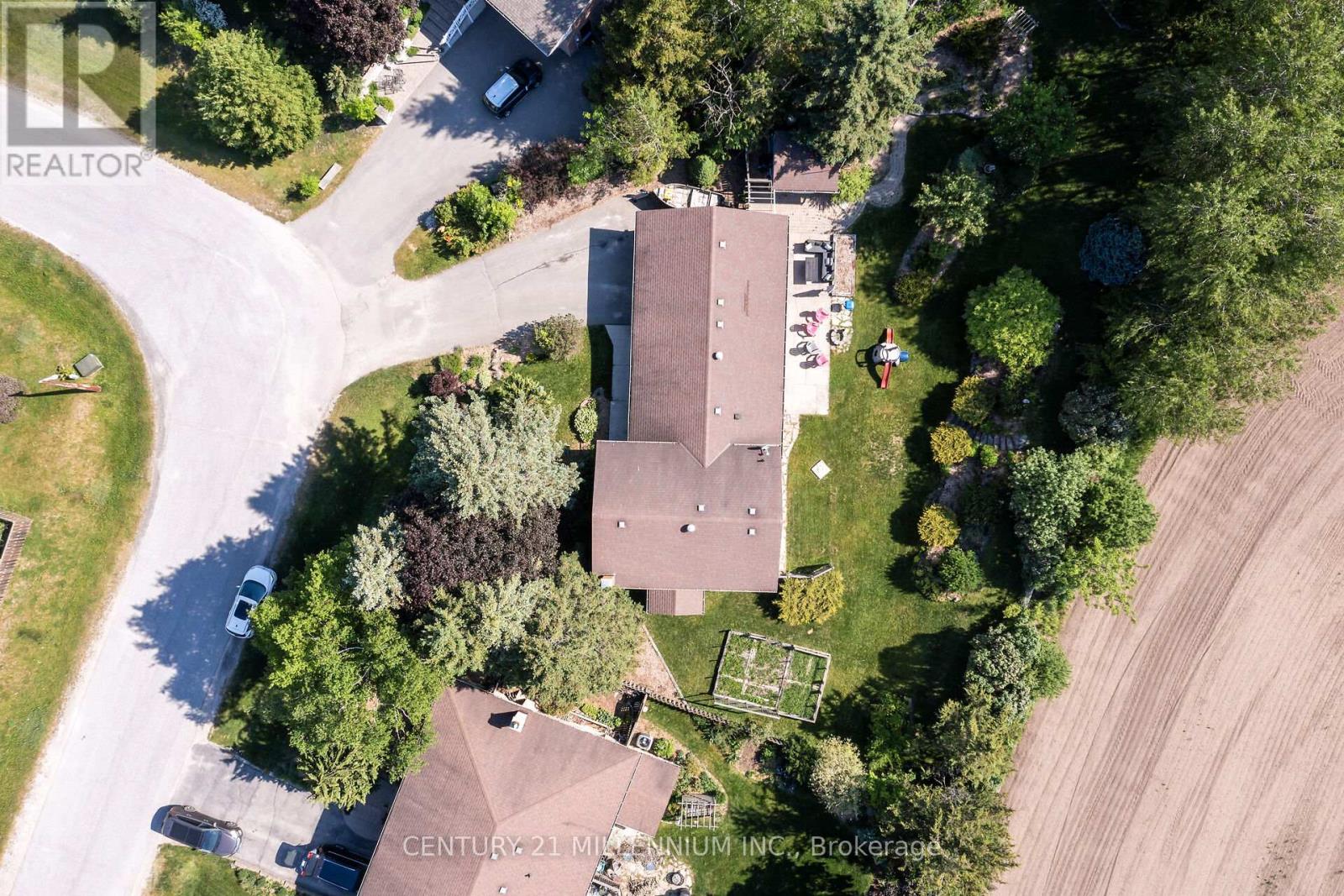 41 DOUGLAS CRESCENT - 2