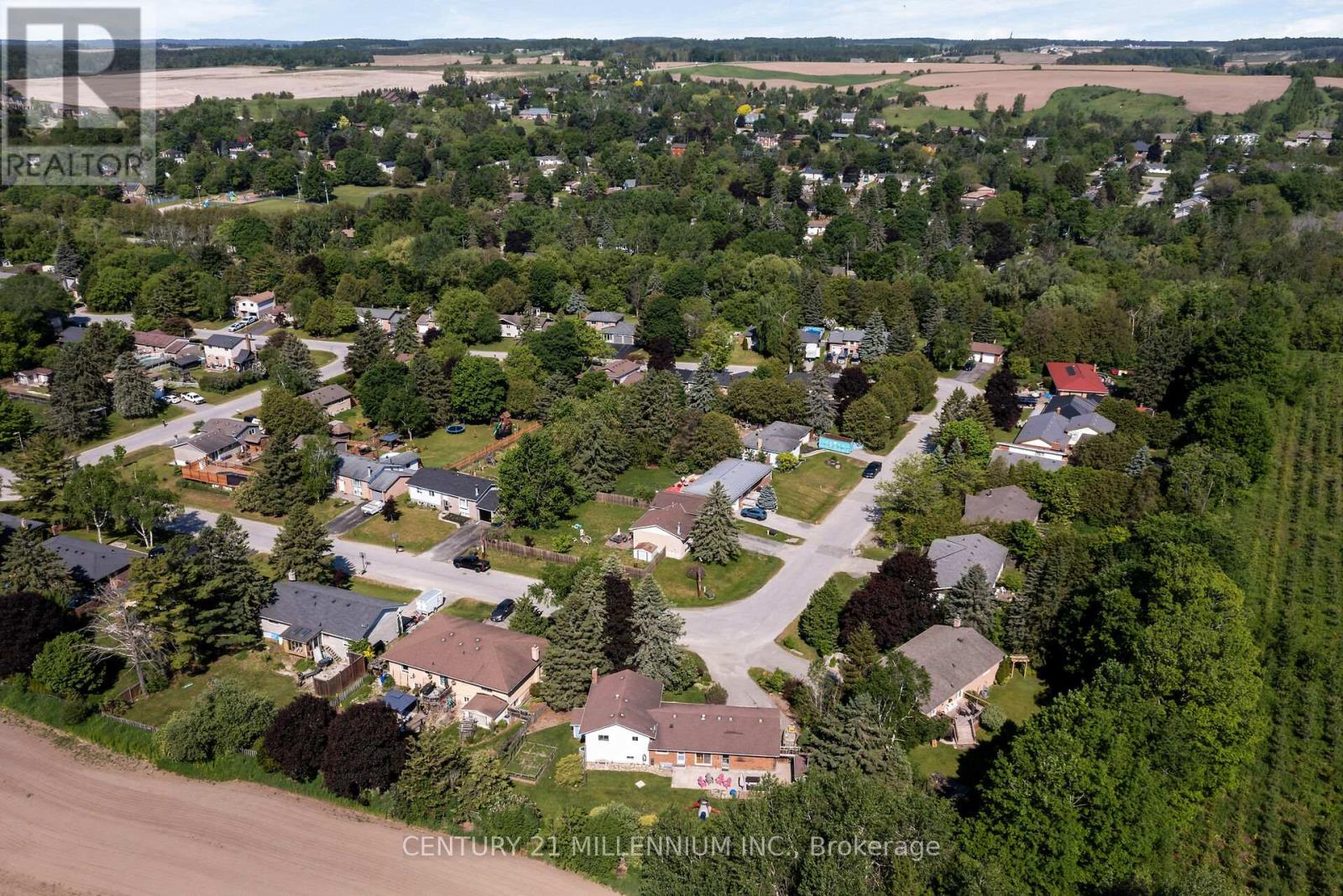 41 DOUGLAS CRESCENT - 46
