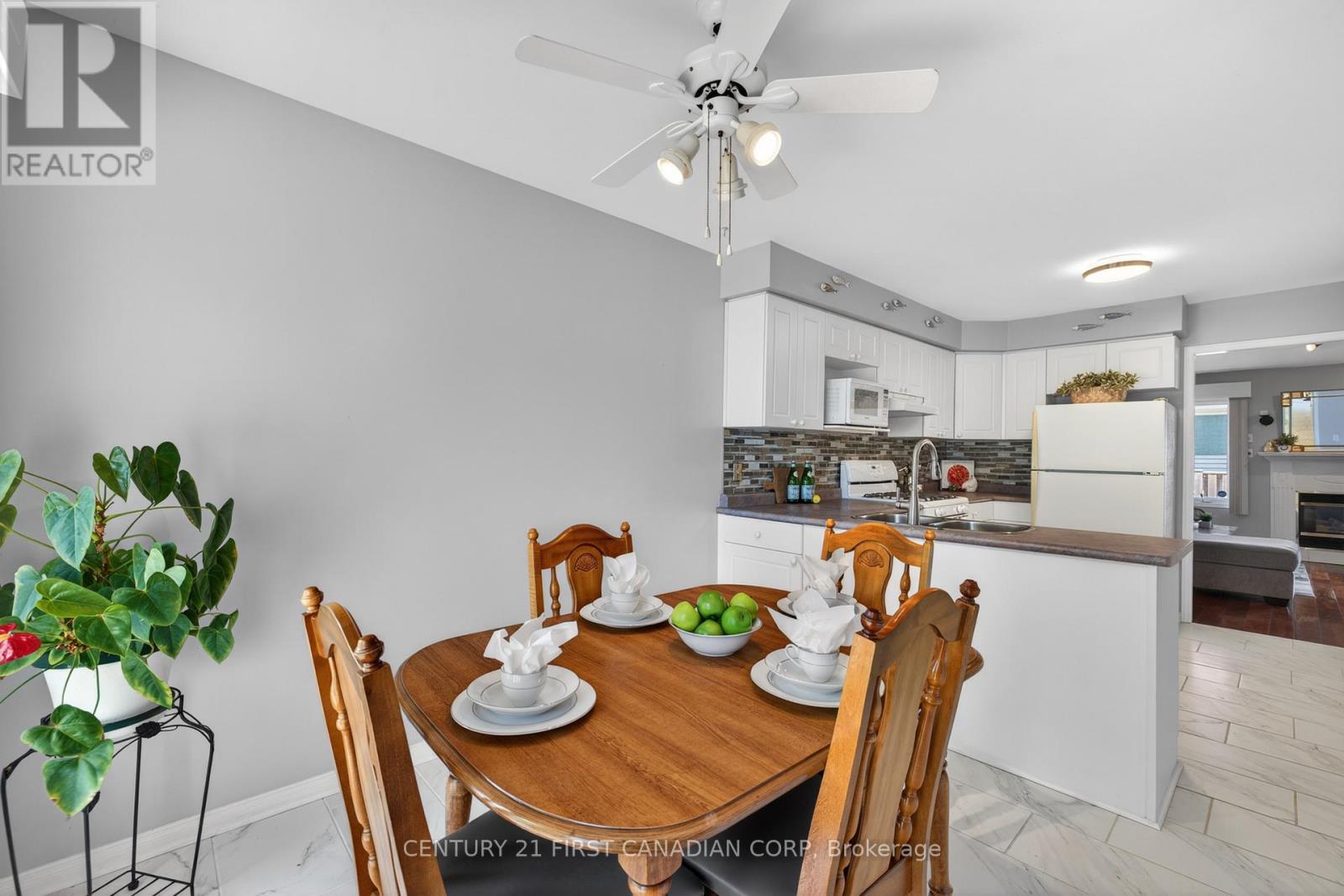 #14 861 SHELBORNE STREET - 10