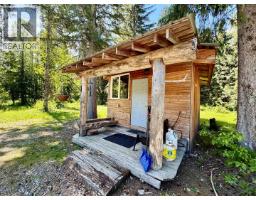 3769 Bone Creek Forest Service Road, Blue River, BC V0E1J0 Photo 19