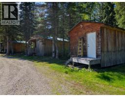 3769 Bone Creek Forest Service Road, Blue River, BC V0E1J0 Photo 38