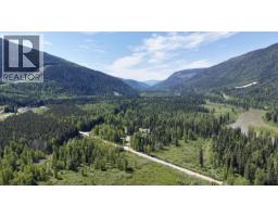 3769 Bone Creek Forest Service Road, Blue River, BC V0E1J0 Photo 39
