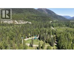 3769 Bone Creek Forest Service Road, Blue River, BC V0E1J0 Photo 10