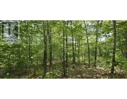 Lot 24-2 East Clifford Road, East Clifford, NS B4V7R8 Photo 28