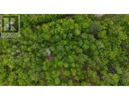 Lot 24-2 East Clifford Road, East Clifford, NS B4V7R8 Photo 16