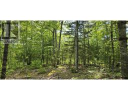 Lot 24-2 East Clifford Road, East Clifford, NS B4V7R8 Photo 9