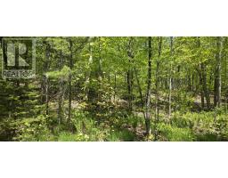Lot 24-2 East Clifford Road, East Clifford, NS B4V7R8 Photo 30