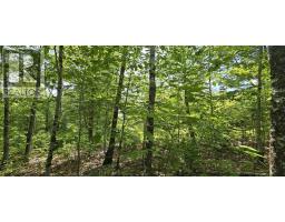 Lot 24-2 East Clifford Road, East Clifford, NS B4V7R8 Photo 22