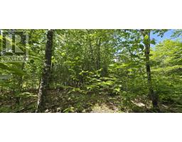 Lot 24-2 East Clifford Road, East Clifford, NS B4V7R8 Photo 7