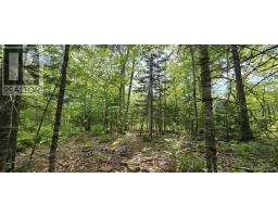 Lot 24-2 East Clifford Road, East Clifford, NS B4V7R8 Photo 29