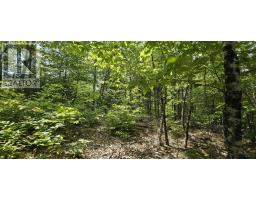 Lot 24-2 East Clifford Road, East Clifford, NS B4V7R8 Photo 8