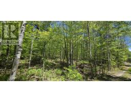 Lot 24-2 East Clifford Road, East Clifford, NS B4V7R8 Photo 18