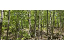 Lot 24-2 East Clifford Road, East Clifford, NS B4V7R8 Photo 31