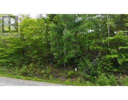 Lot 24-2 East Clifford Road, East Clifford, NS B4V7R8 Photo 20
