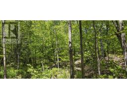 Lot 24-2 East Clifford Road, East Clifford, NS B4V7R8 Photo 11