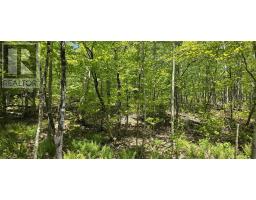 Lot 24-2 East Clifford Road, East Clifford, NS B4V7R8 Photo 10