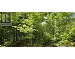 Lot 24-2 East Clifford Road, East Clifford, NS B4V7R8 Photo 6