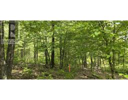Lot 24-2 East Clifford Road, East Clifford, NS B4V7R8 Photo 15